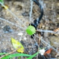 thumbnail image 2 of Riego Por Goteo Rociadores Emitores Drippers Micro, 2 of 9