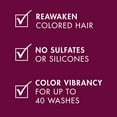 thumbnail image 6 of Nexxus Color Assure ProteinFusion Shampoo Silicone Free and Sulfate Free Shampoo For Color Treated Hair 13.5 oz, 2 Count, 6 of 9