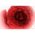 thumbnail image 3 of Stalus, Judy 24x17 Black Modern Framed Museum Art Print Titled - Velvet, 3 of 5