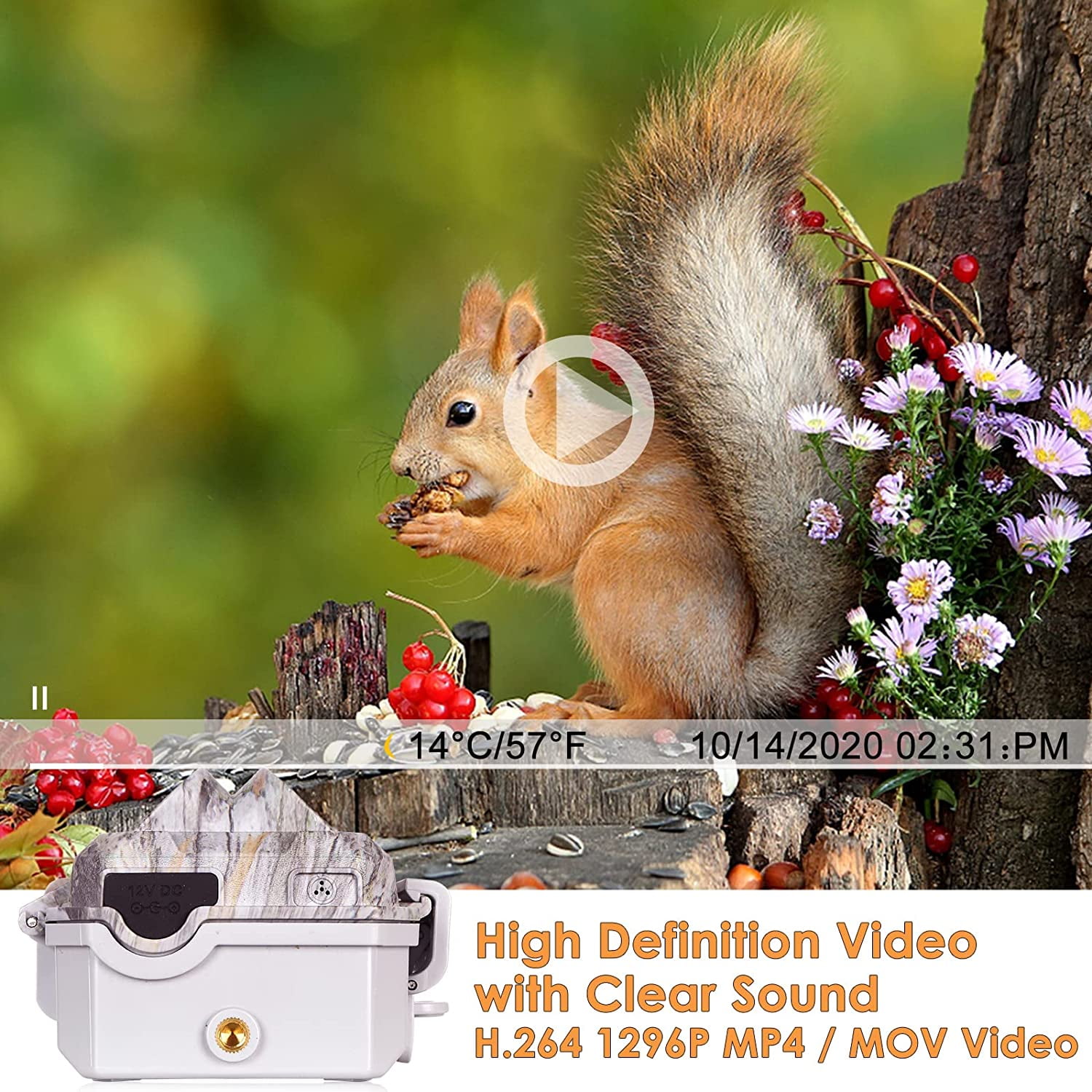 Bluetooth Wireless WiFi Game Trail Camera & Wildlife Deer Hunting Security Camera 32MP Picture 1296P Video Motion Activated Night Vision 100ft Black Flash Infrared 0.1s Trigger Speed IP66 Waterproof