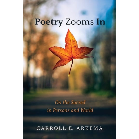 Poetry Zooms In (Paperback)