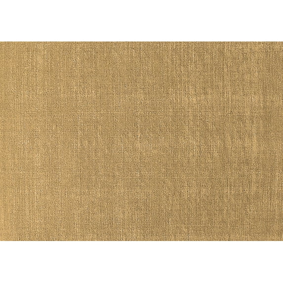 Ahgly Company Indoor Rectangle Solid Brown Modern Area Rugs, 8' x 12'