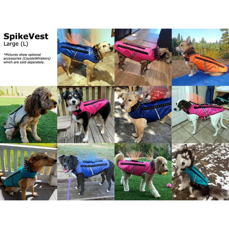 Coyote spiked cheap dog vest
