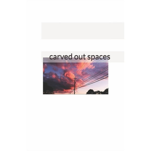 carved out spaces, (Paperback)