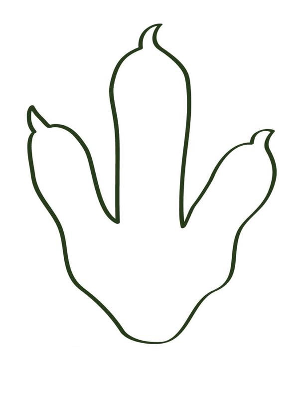 Dinosaur Footprints Printable Customize And Print