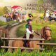 thumbnail image 4 of Oenux - Juego de animales para lavar caballos en la granja, establos, clubes, cafeterías, modelos de casas, jinetes, sillas de montar, vallas, figuras de acción, regalo de Navidad, juguetes para niños, 4 of 5