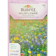 Burpee-Wildflower, Perennial Mix Seed Packet