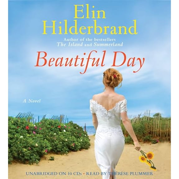 Pre-Owned Beautiful Day : A Novel (CD-Audio)