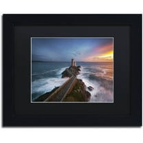 Trademark Fine Art "Red of Pleasure" Canvas Art by Mathieu Rivrin, Black Matte, Black Frame