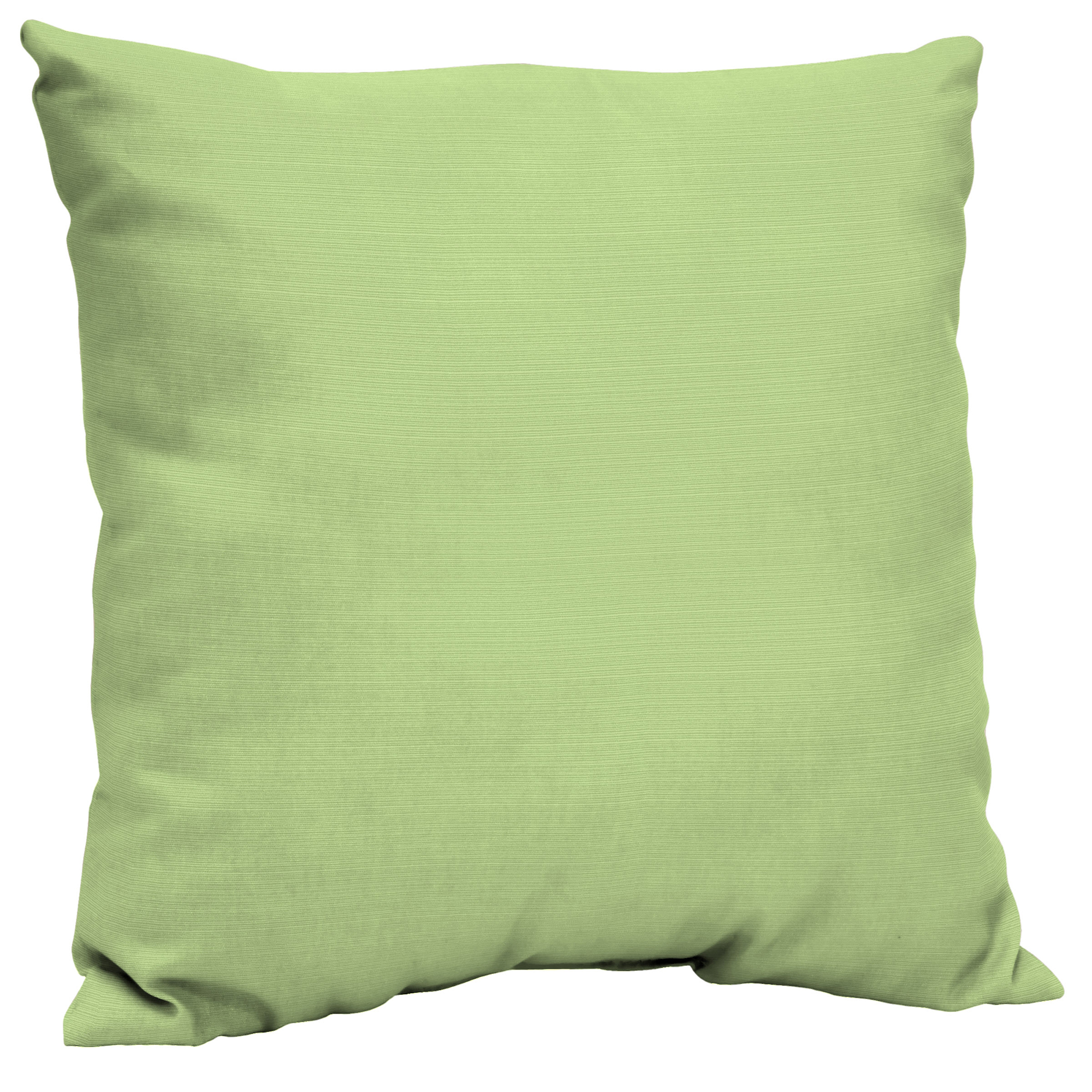 Better Homes & Gardens Mint Sage 21 x 21 in. Outdoor Dining Pillow Back
