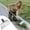 11.6, variant on Yardvibe Garden Flat Shovel, Flat Floor Scraper with 4ft Long Handle, Heavy Duty Stainless Steel Garden Cleaning Shovel, Outdoor Scraper for Removing Snow, Ice, Weeds, Moss, Scraping