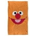 thumbnail image 2 of Sesame Street Ernie Face Officially Licensed Silky Touch Super Soft Throw Blanket 36" x 58", 2 of 8