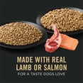 thumbnail image 4 of Purina Pro Plan Sensitive Skin and Stomach Wet Dog Food, Salmon and Rice and Lamb and Oatmeal Variety Pack, 13 oz Cans, 12 Pack, 4 of 14