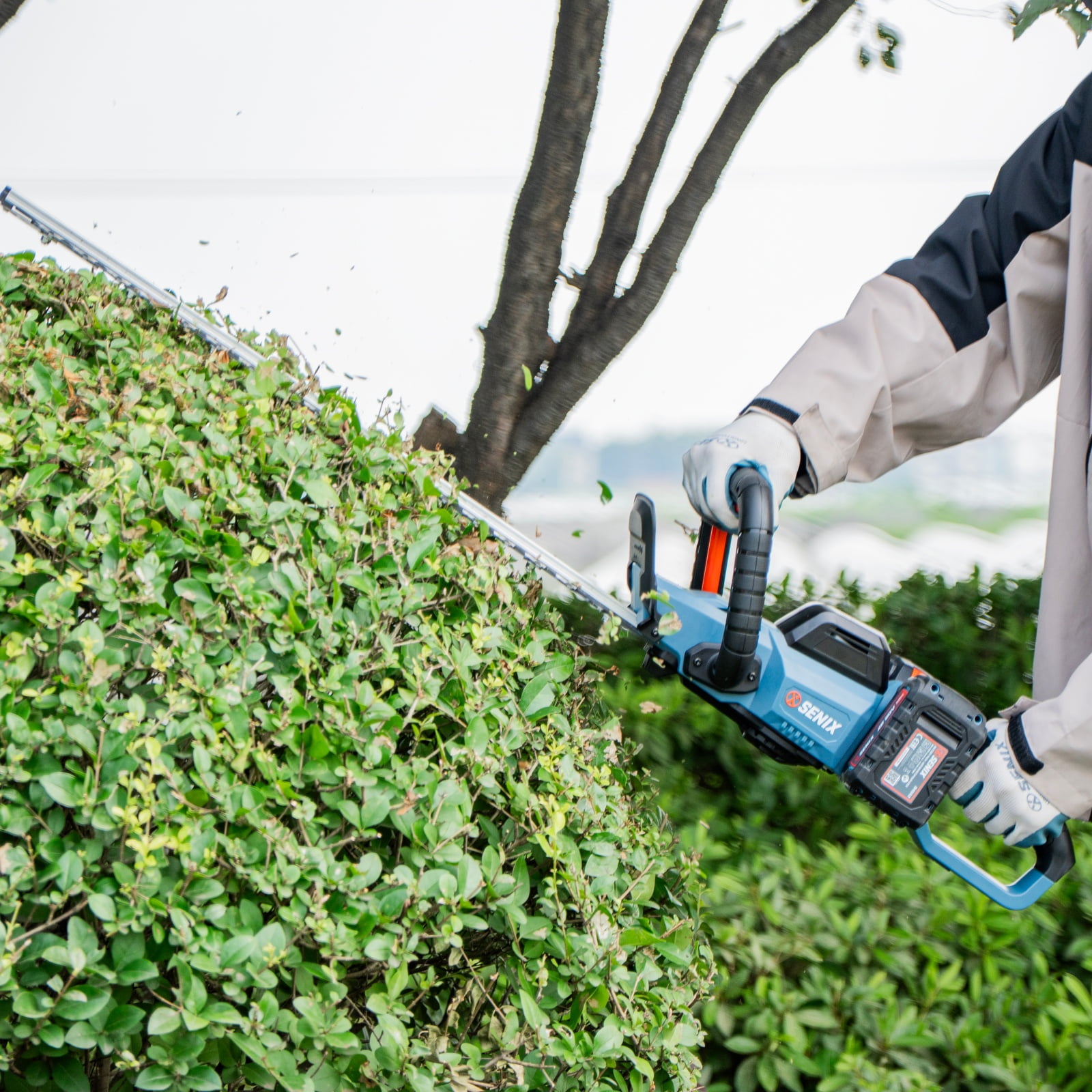 SENIX 40V Max 24-Inch Cordless Hedge Trimmer with 2 x 2.0Ah