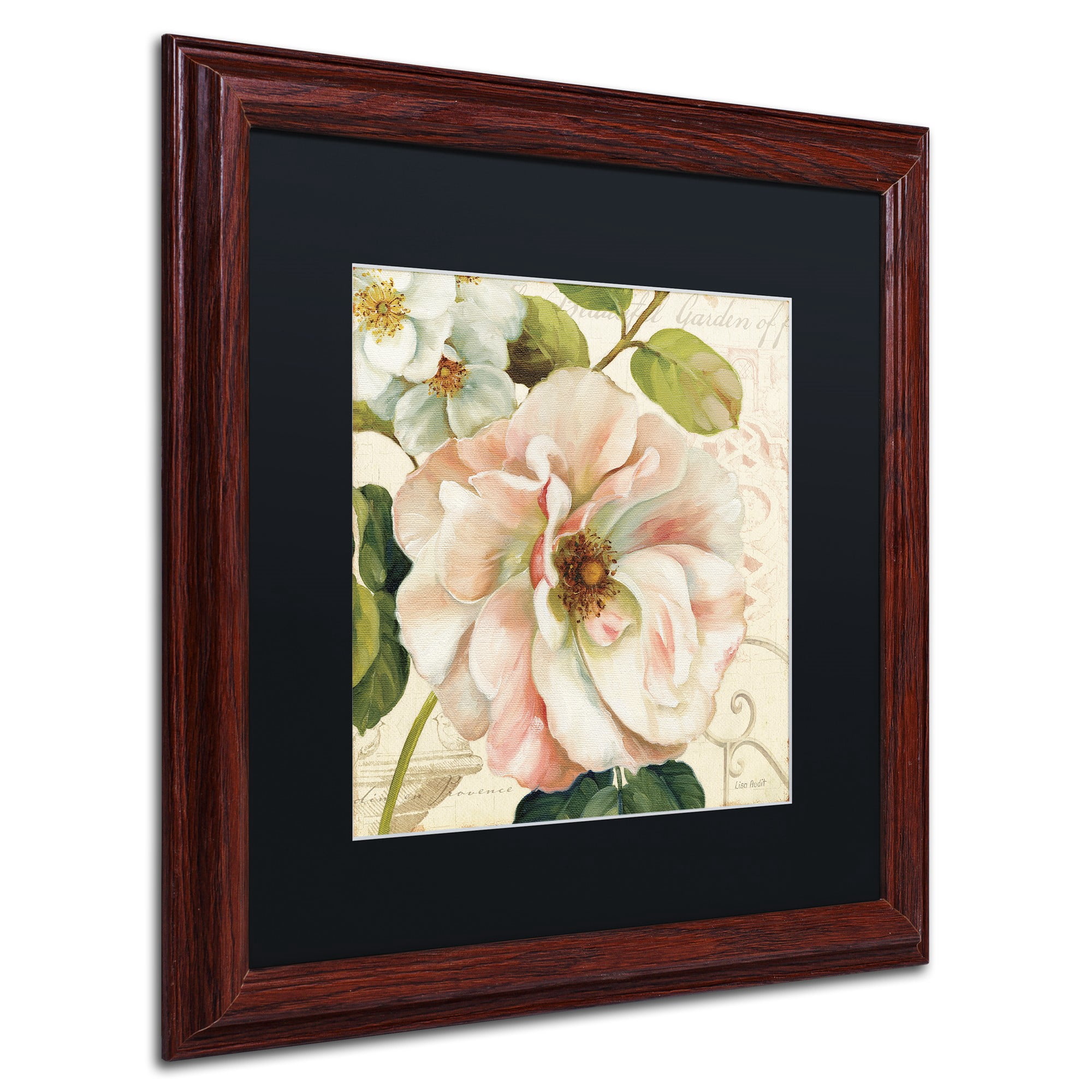 Trademark Fine Art "Les Jardin II" Canvas Art by Lisa Audit, Black Matte, Wood Frame