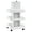 White, variant on BarberPub Multi-Functional Salon Trolley with Wheels, 3-Tier Storage Equipment, Mobile Beauty Cart 2038