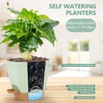 thumbnail image 3 of PHANCIR 7/6.5/6/5.5/5 Inch Set of 5 Self Watering Plant Pots, Plastic Flower Pots for Indoor Outdoor Succulent with Nitrile Gloves, Green, 3 of 8