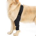thumbnail image 3 of Dog Recovery Sleeve Front Rear Leg Support Brace For Injury Sprain Relieve Pain, 3 of 5