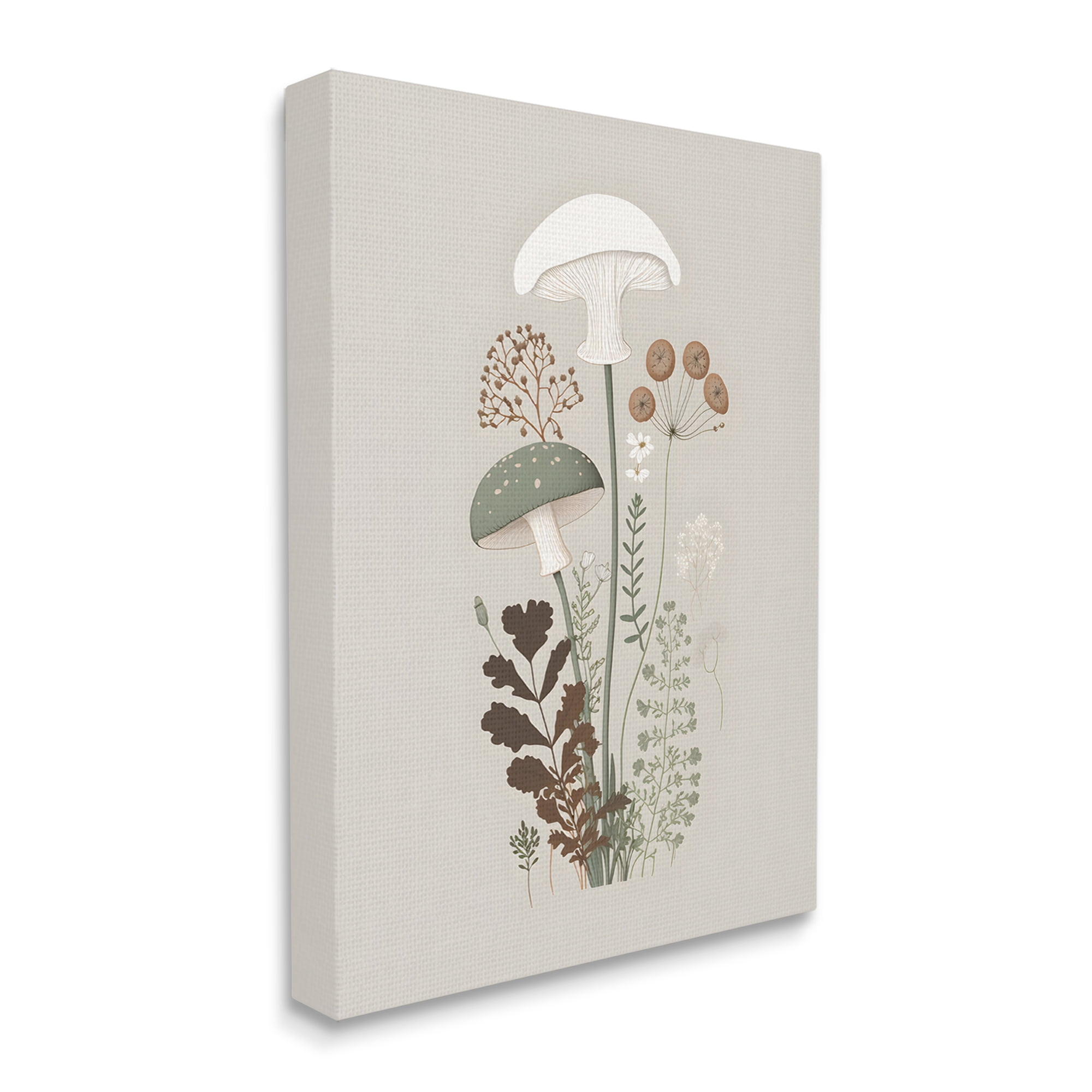 Stupell Industries Soft Mushrooms on Grey Botanical & Floral Painting Gallery Wrapped Canvas Art Print Wall Art, 24 x 30