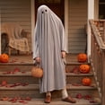 thumbnail image 6 of Silver Adult Ghost Costume, Classic Ghost Sheet Costume with Eye Holes, Lightweight Full Body Halloween Ghost Costume for Group Party Cosplay, 6 of 8