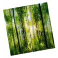 thumbnail image 4 of kurtrusly Impression Numérique 3D Rideaux de Rideau pour Chambre à Coucher Salon Forêt de Soleil 1Set, 4 of 6