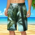 Chu Chu Men’S Swim Shorts Beach Shorts Men 5 Mens Shorts 9 Inch Inseam Mens Shorts