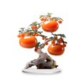 thumbnail image 2 of Decoración de Árbol Frutal, Arte 2D, Hogar, Sala de Estar, Entrada, Vinoteca, Regalo, 2 of 7
