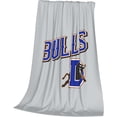 thumbnail image 3 of Durham Bulls Logo Blanket Large Luxury Fleece Soft Anti-Static Anti-Pilling Flannel Bed Blanket, 3 of 6