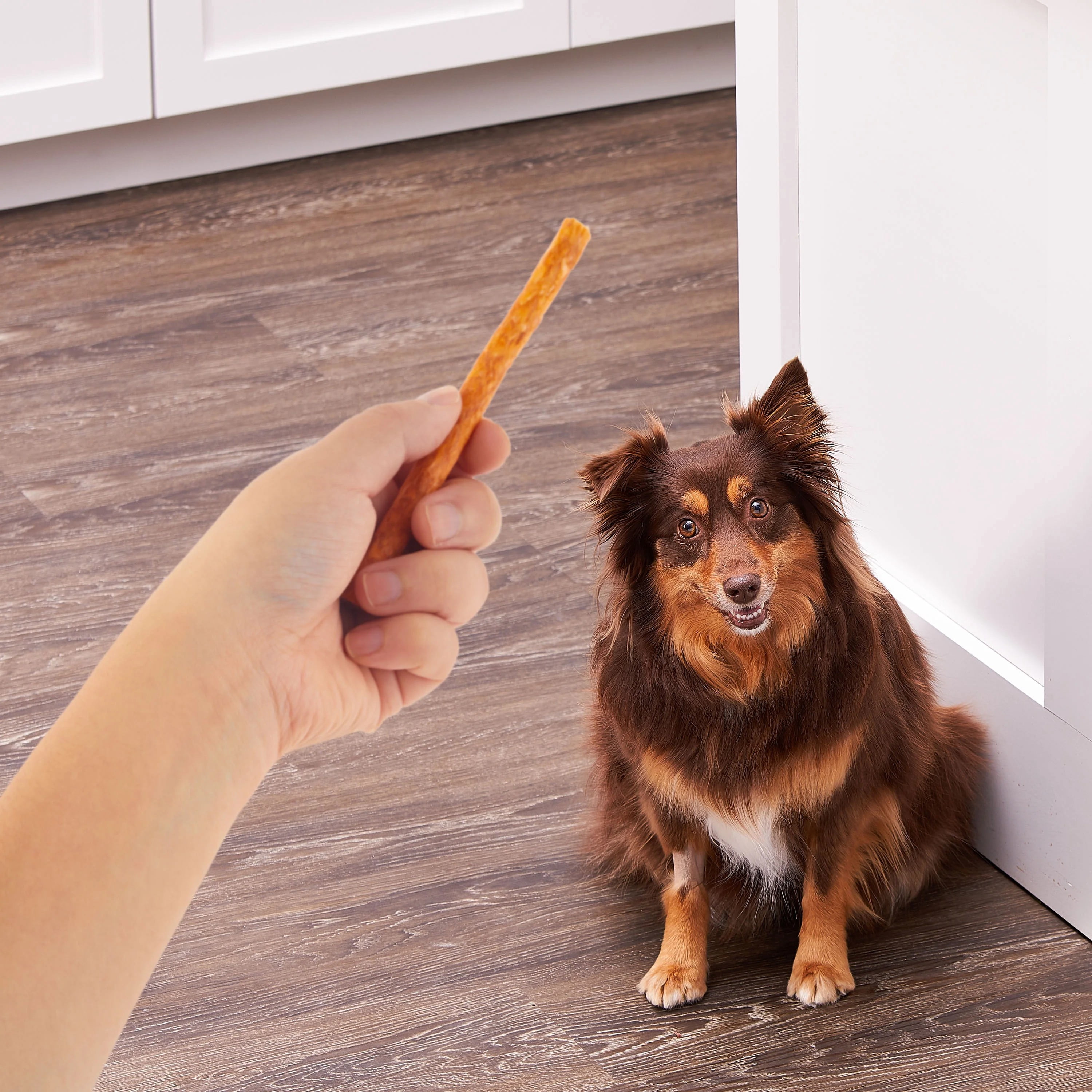 (5 pack) Ol' Roy 5-inch Munchy Sticks with Chicken Flavor, 16.4 oz, 50 Count