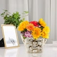 Flowerpot Saucer Fruit And Pans Vertical Blinds Replacement Slats