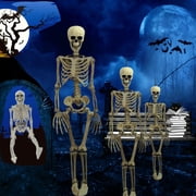 Halloween Human Skeleton Bone Model 15.7 Inches Movable Joints for Haunted Houses Graveyard Holiday Decoration