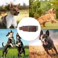 thumbnail image 5 of club de doug | collar de perro táctico pesado de cuero con asa | silla de montar, plena flor, pesada | cómodo,, 5 of 5