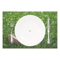 thumbnail image 2 of Ryvnso Placemats Set of 4 Football Grasses Dining Mats Heat-Resistant Non-Slip Washable Table Mat, 2 of 8