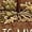 A1 Coffee, variant on Women's Fall Graphic Tee Short Sleeve Crew Neck T Shirt Autumn Tree Print Casual Thanksgiving Top for Women Vintage Holiday Everyday Summer Fashion Wear Beige XL