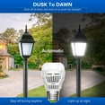 thumbnail image 4 of SANSI 60W Equivalent A15 Dusk to Dawn LED Light Bulb, 8W 800 Lumens E26 Bulb, 5000K Daylight, 2-Pack, 4 of 6