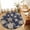 Blue, variant on Area Rugs 5'x7', Brown Blue Coastal Carpet Runner Indoor Outdoor Rugs Home Decor Aesthetic, Summer Beach Sea Turtle Starfish Nautical Non Slip Mats Washable Accent Rug for Living Room Bedroom