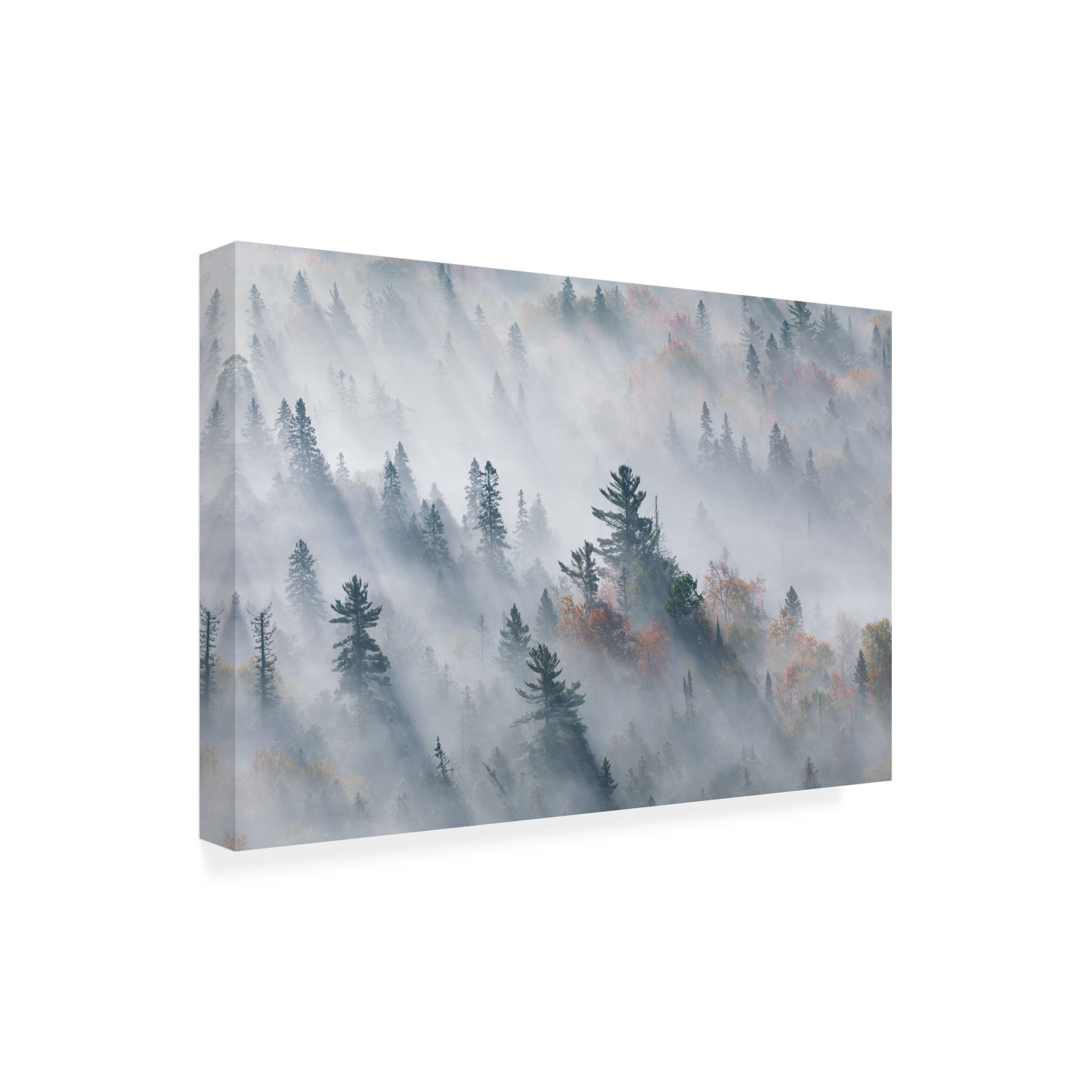 Trademark Fine Art Jennifer Zhao The Fog Of Silence, The Fog Of Illusion Canvas Wall Art