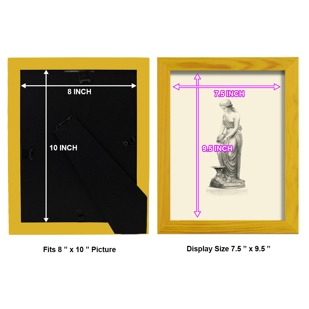 Classical Statuary II -Framed Print w/glass-Sunflower Yellow