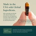 thumbnail image 4 of Gaia Herbs Menopause Support Nighttime - Menopause Supplement for Women* - With Black Cohosh, Mimosa, Passionflower & St. John's Wort - 60 Vegan Liquid Phyto-Caps (30 Servings), 4 of 9