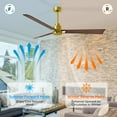 thumbnail image 4 of Matthews Fan Company AK-BRBR-WN-56 Alessandra 56” Brushed Brass Ceiling Fan with 3 Walnut Blades, Remote Control, Indoor/Outdoor Wet Rated, 4 of 6