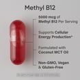 thumbnail image 2 of Sports Research® Vitamin B12 (Methylcobalamin) 5000mcg (High Potency) + Coconut MCT Oil for Energy Support Vegan Certified Non-GMO Gluten Free 120 ct, 2 of 7
