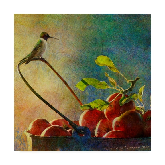 Trademark Fine Art 'Apples And Hummer' Canvas Art by Chris Vest