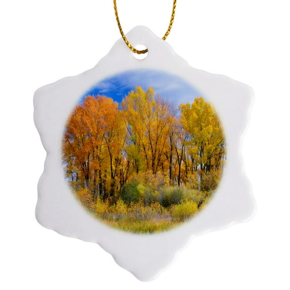 3drose, Usa, Colorado, Curecanti Nra, Cottonwood and Willows in Fall Color., 3 inch Snowflake Porcelain Ornament