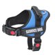 thumbnail image 1 of Cute Pet Harness Collar For Puppy And Kitten Small Dog Reflective Vest Harness Outdoor Walking Anti-loss Corgi Labrador Chihuahu ShopWise Round, 1 of 24