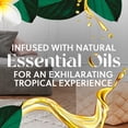 thumbnail image 4 of Recambio de aceite perfumado Air Wick Plug, para ambientador, 10 unidades, 4 of 6