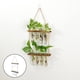 thumbnail image 5 of Decoración de florero de terrario hidropónico Zulema Soporte de madera 20x50cm, 5 of 7