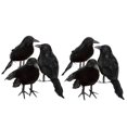 thumbnail image 1 of Decoración de Halloween Cuervo Artificial JanHm Cuervo con Plumas Negro, 1 of 1