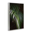 thumbnail image 3 of Stupell Industries Palm Leaves Weaving Together Gray Framed Giclee Art, design by Jade Sharp Photo, 24 x 16, 3 of 8