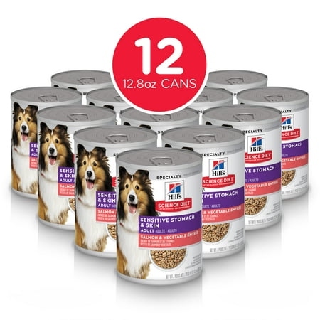 Hill's Science Diet Adult Sensitive Stomach & Skin Canned Dog Food, Salmon & Vegetable Entrée, 12.8 oz, 12 Pack wet dog (Best Diet For Sensitive Stomach)