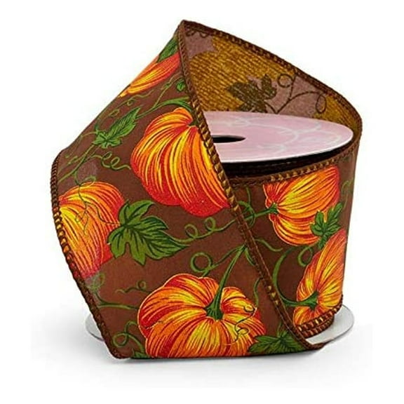 Pumpkin Patch on Brown Wired Ribbon - 2-1/2 Inches Wide X 10 Yards (56000005)